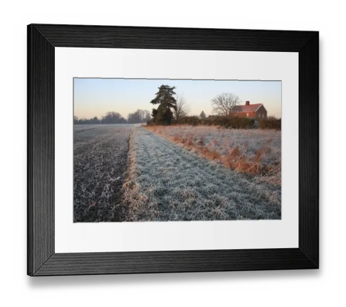 Framed Print : Frost covered headland strip between permanent set-a-side and cultivated arable field at sunrise, Bacton, Suffolk Framed Print : Frost covered headland strip between permanent set-a-side and cultivated arable field at sunrise, Bacton, Suffolk