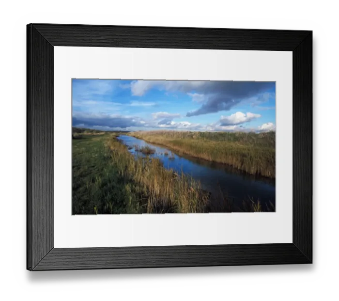 Framed Print : Conservation - Reserves - Trimley Marsh - Suffolk Wildlife Trust Framed Print : Conservation - Reserves - Trimley Marsh - Suffolk Wildlife Trust