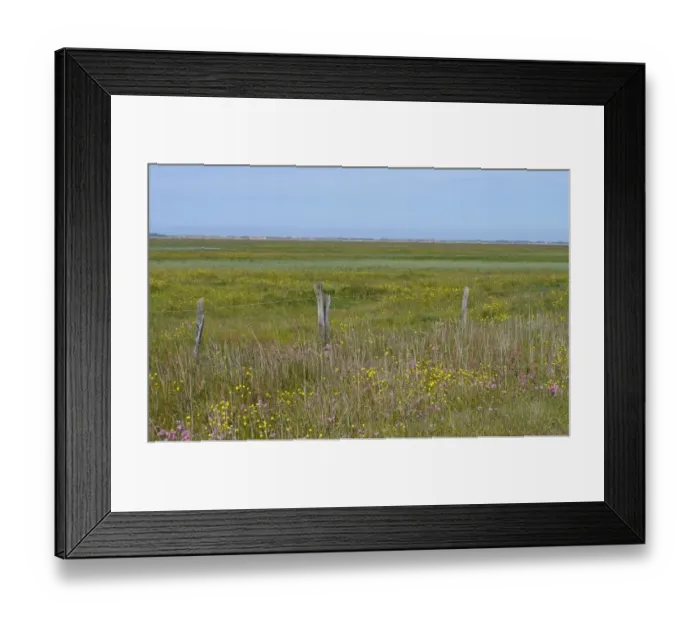 Framed Print : View of coastal wetland habitat, Tipperne Reserve, Tipperne and Vaerneengene Peninsula, Jutland, Denmark, may Framed Print : View of coastal wetland habitat, Tipperne Reserve, Tipperne and Vaerneengene Peninsula, Jutland, Denmark, may