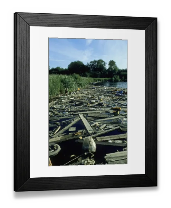 Framed Print : Rubbish floating on river backwater, Leicestershire, England Framed Print : Rubbish floating on river backwater, Leicestershire, England