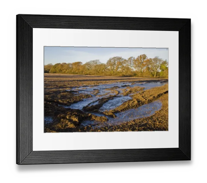 Framed Print : Ploughed field with fallen leaves on frozen puddles, Dorset, England, december Framed Print : Ploughed field with fallen leaves on frozen puddles, Dorset, England, december