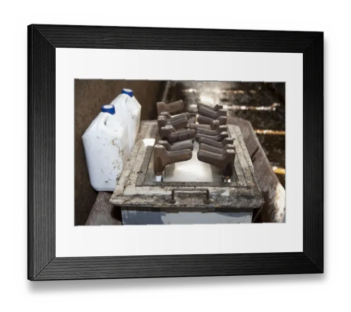 Framed Print : Dairy farming, brands for freeze branding dairy heifers, Scotland, april Framed Print : Dairy farming, brands for freeze branding dairy heifers, Scotland, april