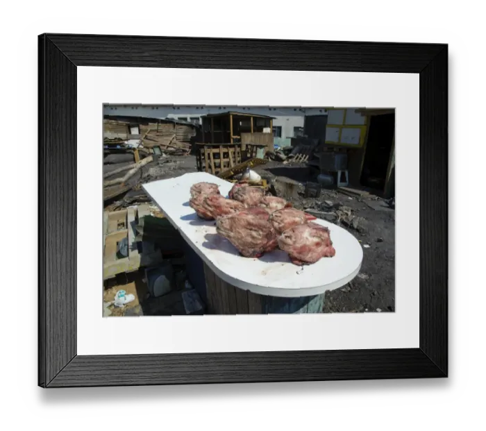Framed Print : Sheep heads, meat known as smileys, Langa Township, Cape Town, Western Cape, South Africa Framed Print : Sheep heads, meat known as smileys, Langa Township, Cape Town, Western Cape, South Africa