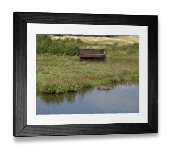 Framed Print : View of freshwater lake habitat and hide, Sandwell Valley RSPB Reserve, West Midlands, England, september Framed Print : View of freshwater lake habitat and hide, Sandwell Valley RSPB Reserve, West Midlands, England, september