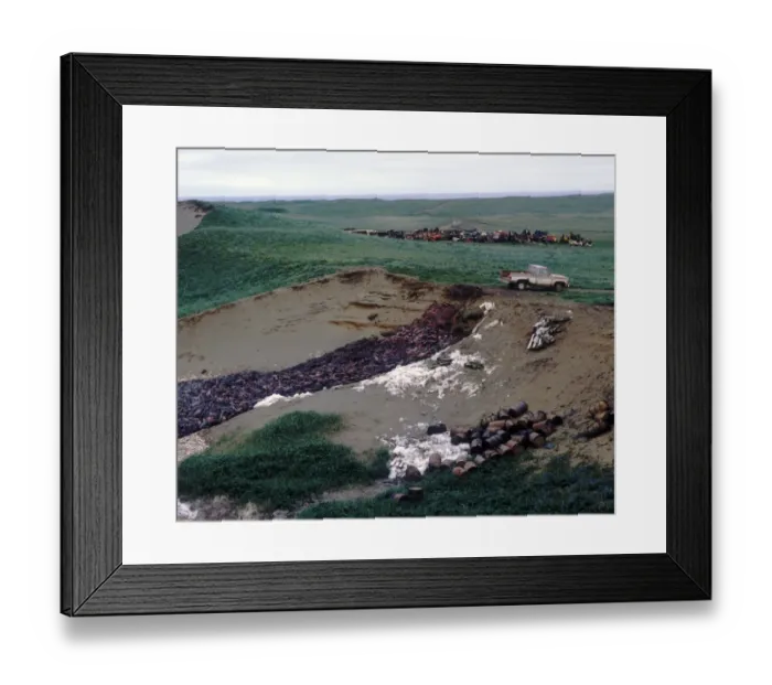 Framed Print : Destruction-Seal Cull Pit containing harvested carcasses of Northern Fur Seal  /  Pribilof Island