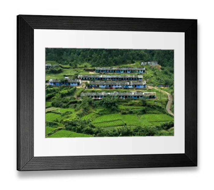 Framed Print : View of tea plantation workers housing on hillside, Munnar, Western Ghats, Kerala, India Framed Print : View of tea plantation workers housing on hillside, Munnar, Western Ghats, Kerala, India