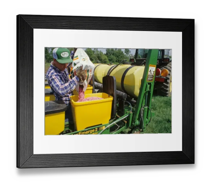 Framed Print : Farmer loading green bean seeds into seed drill hopper, St. Paul, Oregon, U. S. A Framed Print : Farmer loading green bean seeds into seed drill hopper, St. Paul, Oregon, U. S. A