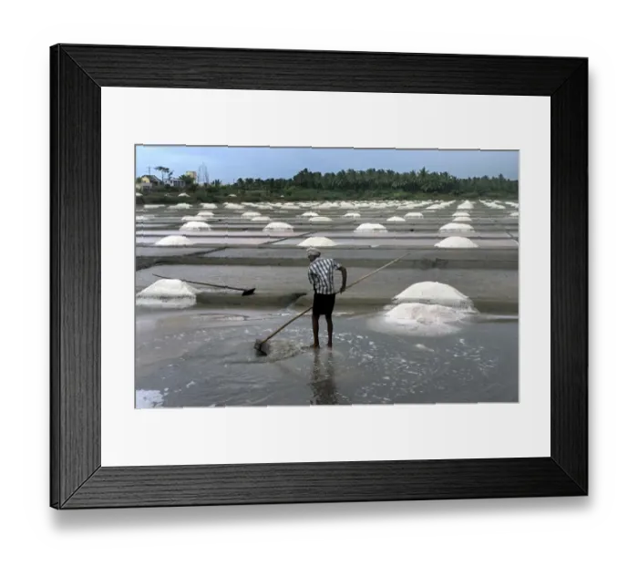 Framed Print : Salt production, commercial saltpans with worker, Kanyakumari, Tamil Nadu, India Framed Print : Salt production, commercial saltpans with worker, Kanyakumari, Tamil Nadu, India