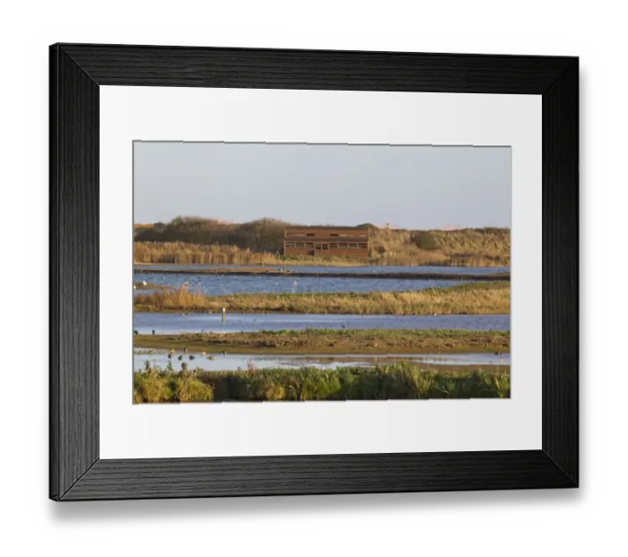 Framed Print : View from West Hide across scrape towards East Hide, Minsmere RSPB Reserve, Suffolk, England, november Framed Print : View from West Hide across scrape towards East Hide, Minsmere RSPB Reserve, Suffolk, England, november