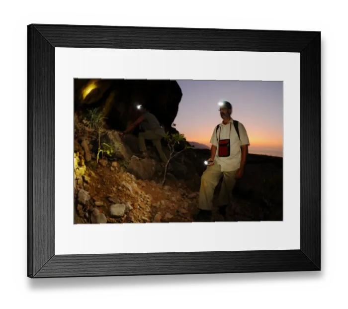 Framed Print : Researchers exploring desert during night survey, Socotra, Yemen, march Framed Print : Researchers exploring desert during night survey, Socotra, Yemen, march