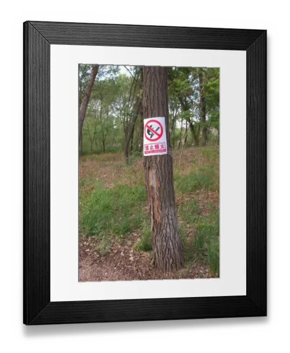 Framed Print : Sign warning of fire danger, on tree trunk in forest, Zushan Forest Park, Qinhuangdao, China, may Framed Print : Sign warning of fire danger, on tree trunk in forest, Zushan Forest Park, Qinhuangdao, China, may