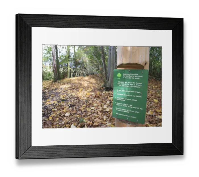 Framed Print : Notice with rules on post in woodland, Vicarage Plantation, Mendlesham, Suffolk, England, november Framed Print : Notice with rules on post in woodland, Vicarage Plantation, Mendlesham, Suffolk, England, november