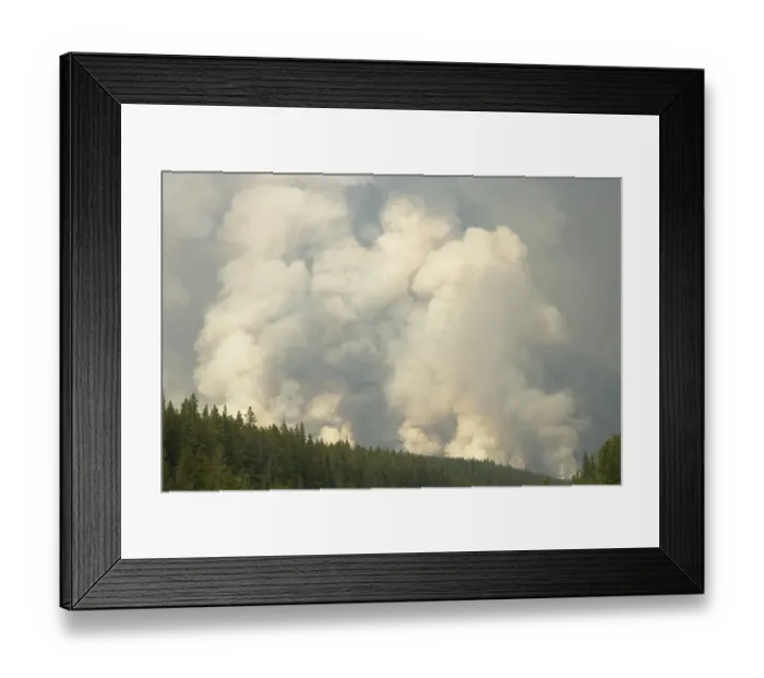 Framed Print : Forest fire, controlled burn, Saskatchewan Valley, Banff N. P. Rocky Mountains, Alberta, Canada, june 2009 Framed Print : Forest fire, controlled burn, Saskatchewan Valley, Banff N. P. Rocky Mountains, Alberta, Canada, june 2009