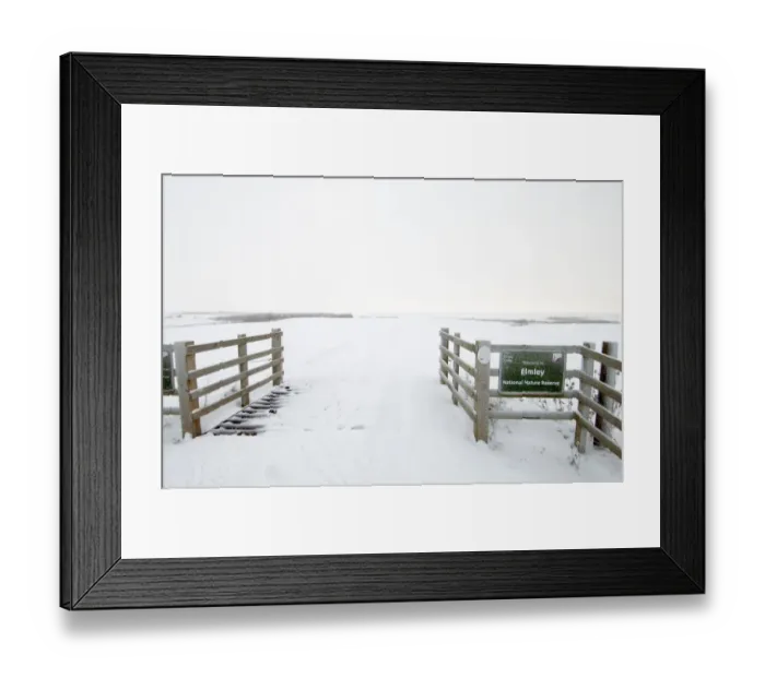 Framed Print : Snow covered cattle grid at entrance to coastal grazing marsh habitat, Elmley Marshes N. N. R Framed Print : Snow covered cattle grid at entrance to coastal grazing marsh habitat, Elmley Marshes N. N. R