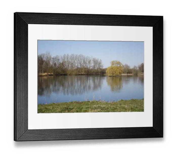 Framed Print : View of private fishing lake in flooded former gravel pit habitat, Mill Deep Lake, Lackford Lakes Nature Reserve Framed Print : View of private fishing lake in flooded former gravel pit habitat, Mill Deep Lake, Lackford Lakes Nature Reserve