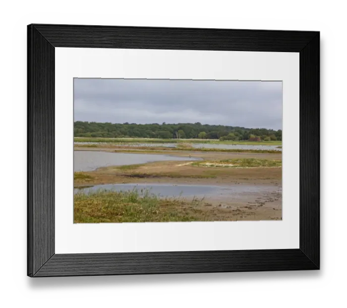 Framed Print : View across scrape from East Hide, Minsmere RSPB Reserve, Suffolk, England, september Framed Print : View across scrape from East Hide, Minsmere RSPB Reserve, Suffolk, England, september