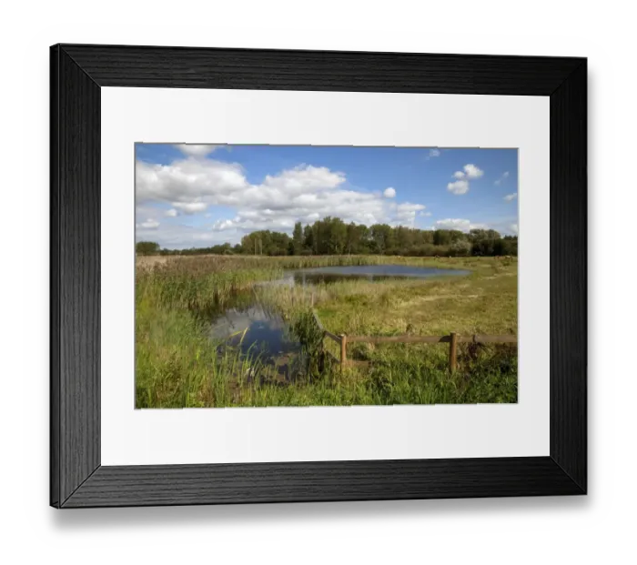 Framed Print : View of wetland habitat with open water and reedbed, Sculthorpe Moor Nature Reserve, Wensum Valley, Norfolk, England Framed Print : View of wetland habitat with open water and reedbed, Sculthorpe Moor Nature Reserve, Wensum Valley, Norfolk, England