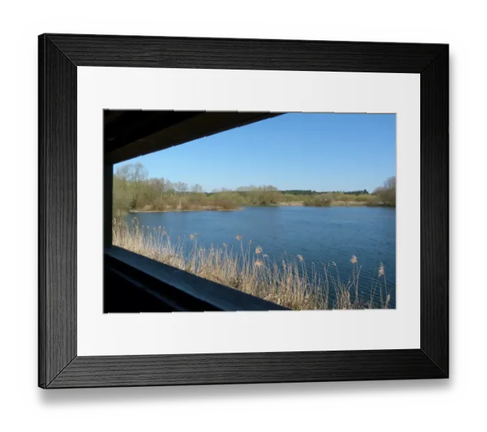 Framed Print : View from Bills Hide at Lackford Lakes Nature Reserve, looking north over Reed Framed Print : View from Bills Hide at Lackford Lakes Nature Reserve, looking north over Reed