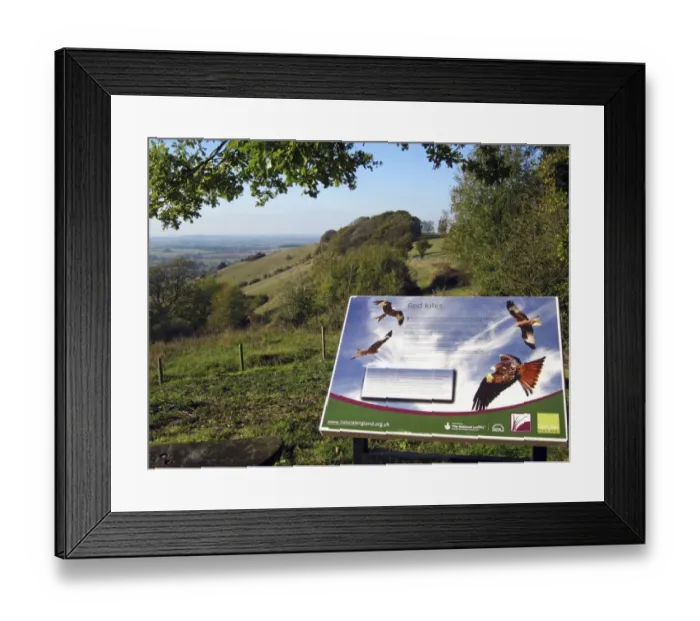 Framed Print : Red Kites information board at reintroduction site, Aston Rowant N. N. R. Chilterns, Oxfordshire, England, october Framed Print : Red Kites information board at reintroduction site, Aston Rowant N. N. R. Chilterns, Oxfordshire, England, october