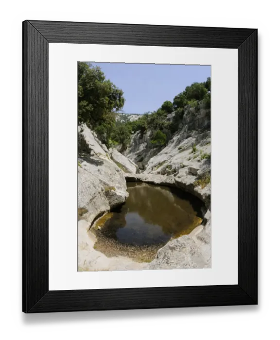Framed Print : Freshwater pool amongst rocks, habitat of Sardinian Brook Salamander (Euproctus platycephalus), Barbagia, Sardinia Framed Print : Freshwater pool amongst rocks, habitat of Sardinian Brook Salamander (Euproctus platycephalus), Barbagia, Sardinia