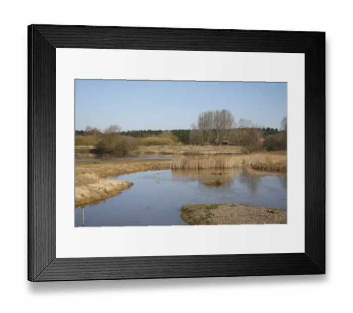 Framed Print : View of flooded former gravel pit habitat, Jasons Pool, Lackford Lakes Nature Reserve, Suffolk, England, march Framed Print : View of flooded former gravel pit habitat, Jasons Pool, Lackford Lakes Nature Reserve, Suffolk, England, march