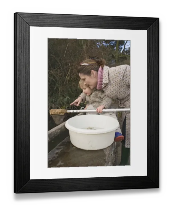 Framed Print : Mother and toddler pond-dipping with net, England, spring Framed Print : Mother and toddler pond-dipping with net, England, spring