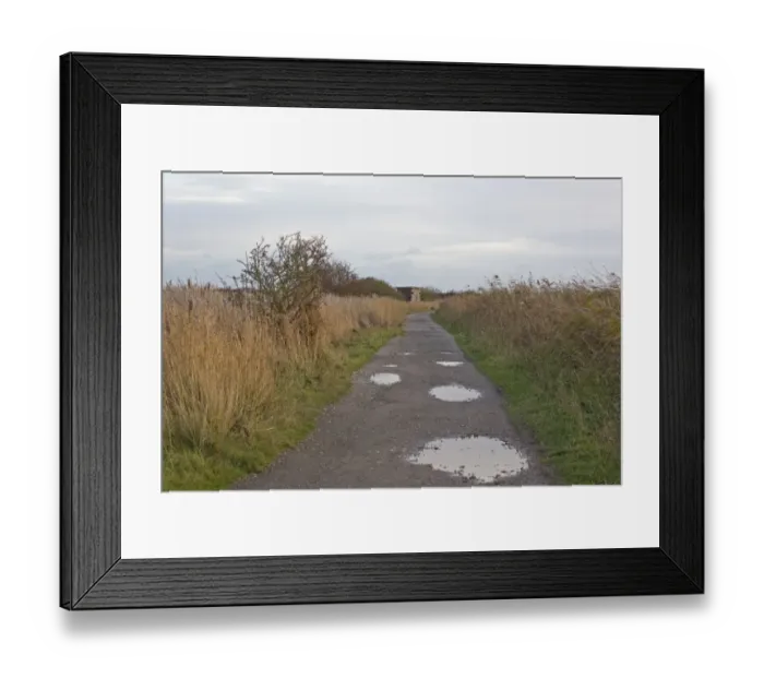 Framed Print : Puddles on path towards South Hide, Minsmere RSPB Reserve, Suffolk, England, november Framed Print : Puddles on path towards South Hide, Minsmere RSPB Reserve, Suffolk, England, november