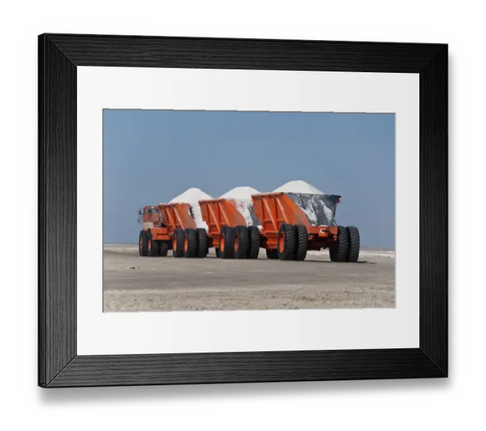 Framed Print : Commercial salt production, machinery with load of salt, Exportadora de Sal (ESSA) saltworks Framed Print : Commercial salt production, machinery with load of salt, Exportadora de Sal (ESSA) saltworks