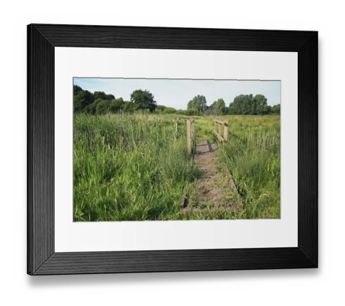 Framed Print : Footbridge over ditch in wet fen meadow habitat, Little Ouse Headwaters Project, The Lows, Blo Norton