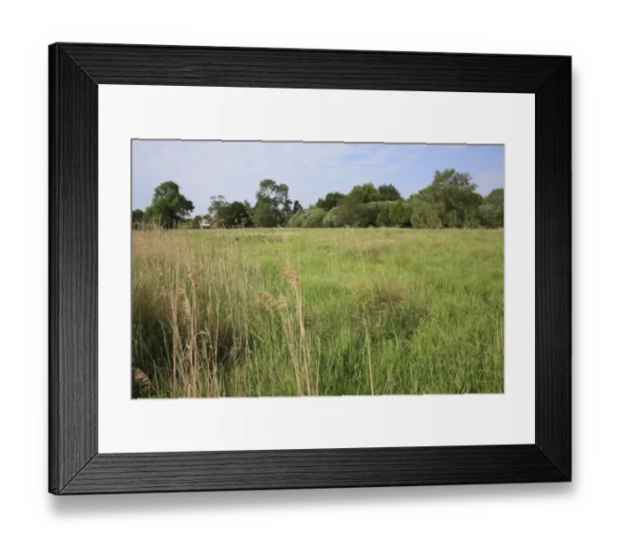 Framed Print : Recently purchased land for fen habitat restoration project, Little Ouse Headwaters Project, Webbs Fen, Thelnetham