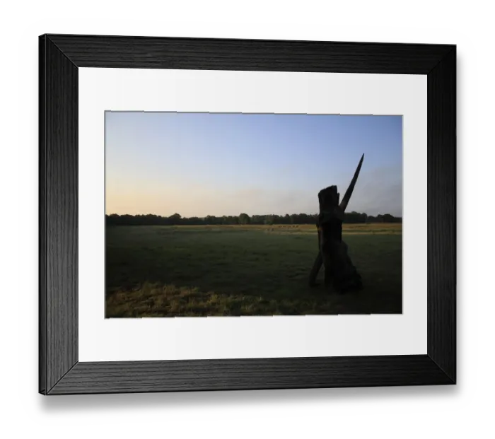 Framed Print : Wooden sculpture silhouetted on rough pasture and acid grassland habitat at dawn, Little Ouse Headwaters Project