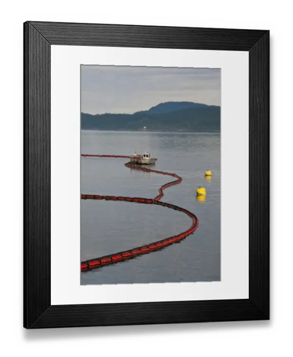 Framed Print : Oil boom on sea around oil refinery, Satellite Channel, Vancouver Island, British Columbia, Canada, december Framed Print : Oil boom on sea around oil refinery, Satellite Channel, Vancouver Island, British Columbia, Canada, december