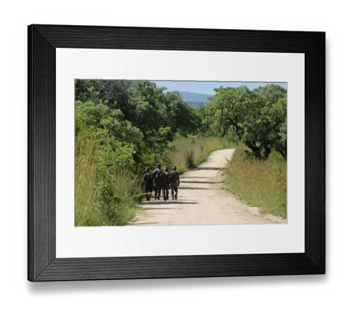 Framed Print : Armed game wardens walking along track, Kruger N. P. Mpumalanga, South Africa Framed Print : Armed game wardens walking along track, Kruger N. P. Mpumalanga, South Africa