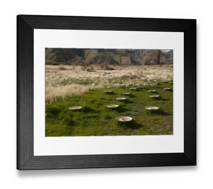 Framed Print : Groasis Waterboxx, plastic boxes designed to help grow trees in desert, Whitewater Preserve, Southern California, U. S. A Framed Print : Groasis Waterboxx, plastic boxes designed to help grow trees in desert, Whitewater Preserve, Southern California, U. S. A