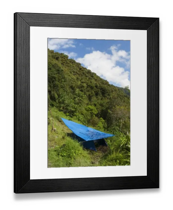 Framed Print : Tent with shade, biologists camping in montane rainforest habitat, Andes, Peru Framed Print : Tent with shade, biologists camping in montane rainforest habitat, Andes, Peru