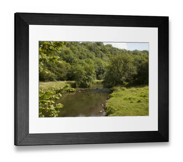 Framed Print : View of river and wooded slope habitat, River Derwent, Millers Dale Quarry, Derbyshire Wildlife Trust Reserve Framed Print : View of river and wooded slope habitat, River Derwent, Millers Dale Quarry, Derbyshire Wildlife Trust Reserve