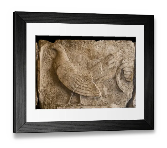Framed Print : Lycian frieze depicting cockerel (Lycian tradition to sacrifice cockerels and make sacrificial offerings to deceased) Framed Print : Lycian frieze depicting cockerel (Lycian tradition to sacrifice cockerels and make sacrificial offerings to deceased)