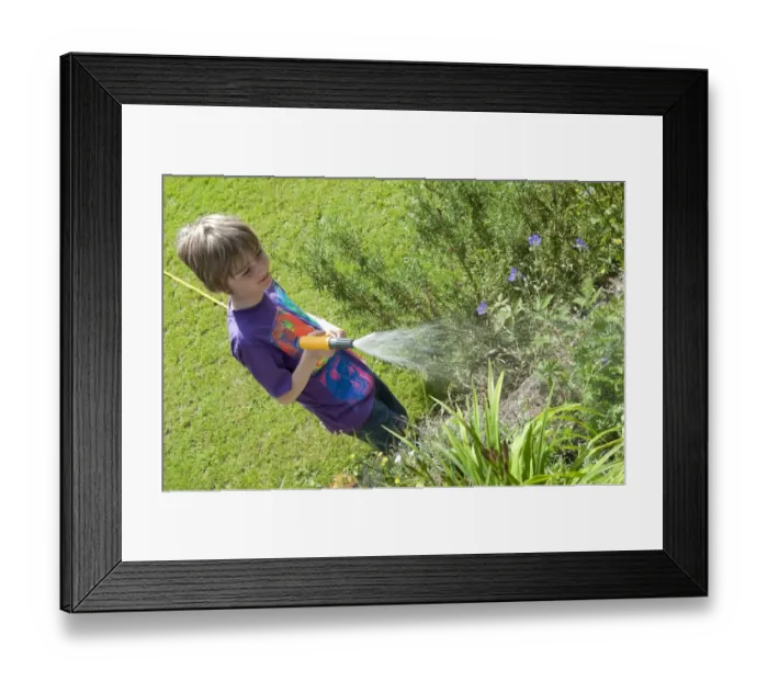 Framed Print : Boy watering plants in garden with hose, Norfolk, England, july Framed Print : Boy watering plants in garden with hose, Norfolk, England, july