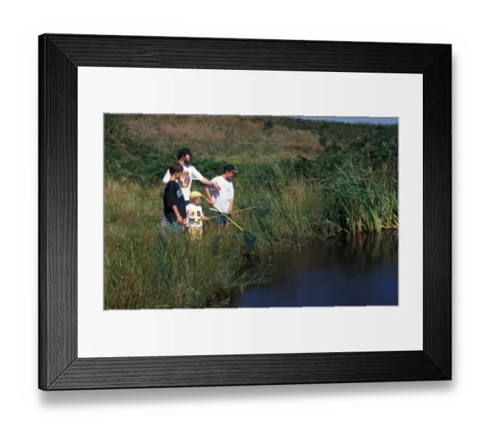 Framed Print : Conservation - Education / Family pond dipping, looking for invertebrates Framed Print : Conservation - Education / Family pond dipping, looking for invertebrates