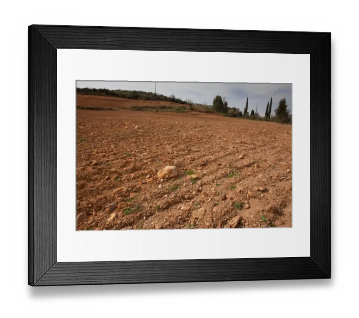 Framed Print : Former flower-rich site with many endemics, destroyed by ploughing, Mani Peninsula, Greece, march Framed Print : Former flower-rich site with many endemics, destroyed by ploughing, Mani Peninsula, Greece, march