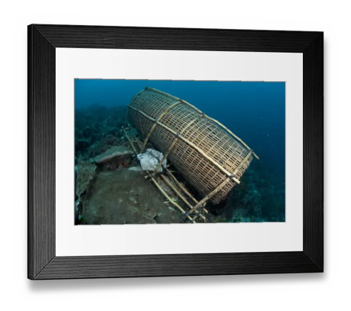 Framed Print : Fish trap on reef, Pantar Island, Alor Archipelago, Lesser Sunda Islands, Indonesia