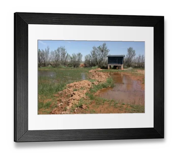 Framed Print : Birdwatching hide at pool in steppe habitat, El Planeron Reserve, Belchite, Aragon, Spain, april