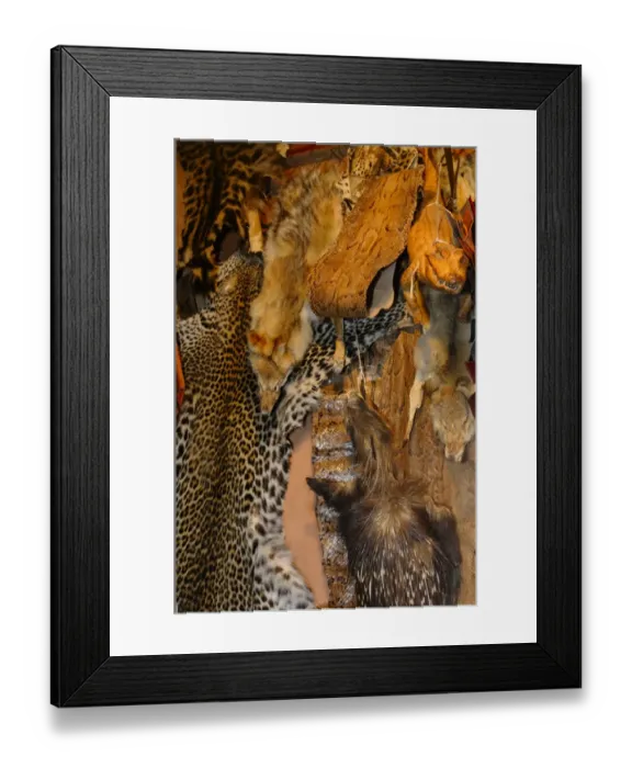 Framed Print : Leopard, wolf, porcupine and snake skins for sale in market, Marrakesh, Morocco, january