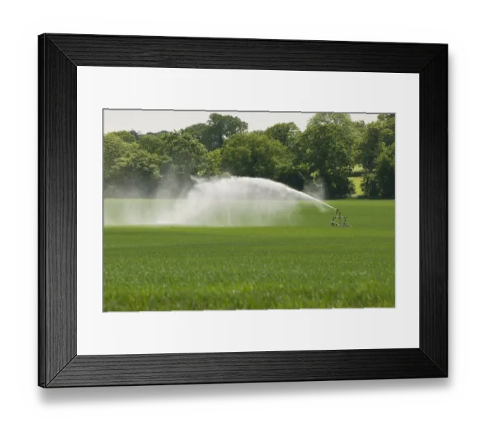 Framed Print : Irrigating crop in field with automated sprinkler system, Norfolk, England, may