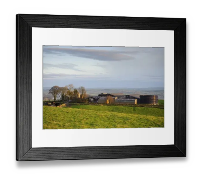 Framed Print : Forty Acre dairy farm in evening sunlight, Longridge Fell, Longridge, Preston, Lancashire, England, october Framed Print : Forty Acre dairy farm in evening sunlight, Longridge Fell, Longridge, Preston, Lancashire, England, october