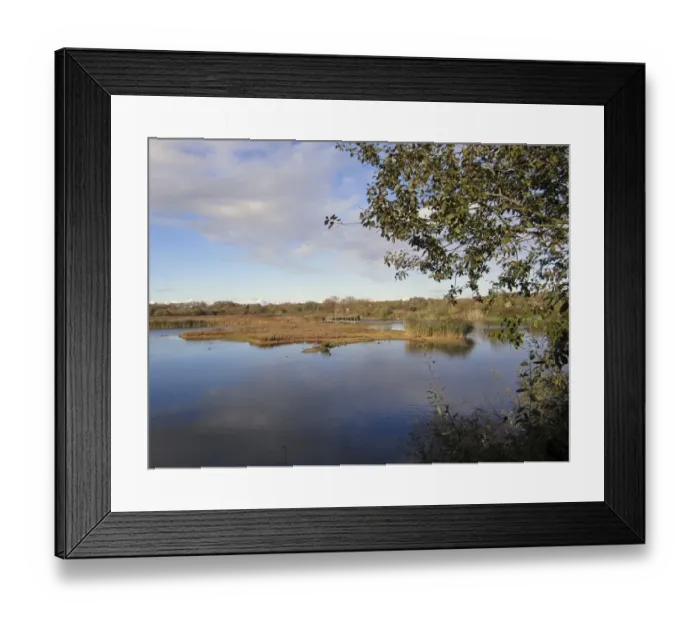 Framed Print : View of open water in wetland habitat, Rye Meads RSPB Reserve, Hoddesdon, Lea Valley, Hertfordshire, England, october