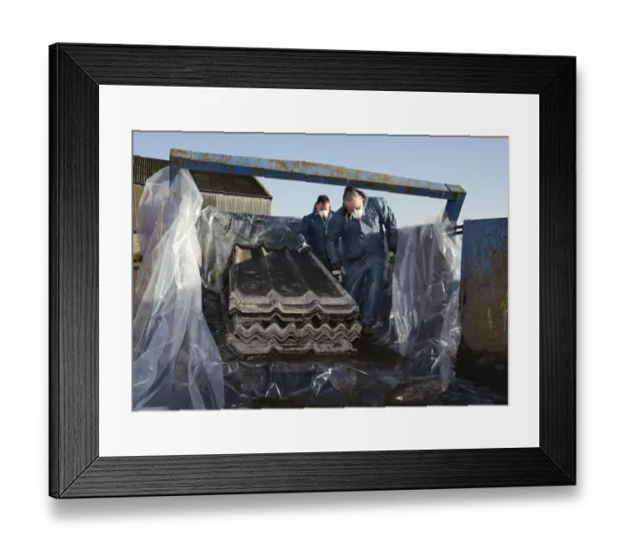 Framed Print : Workers removing agricultural building roofing sheets containing asbestos Framed Print : Workers removing agricultural building roofing sheets containing asbestos