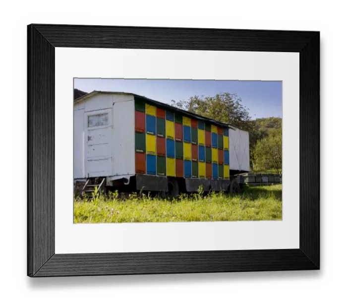Framed Print : Bee keeping, mobile beehives on trailer in old Saxon village, Crit, Transylvania, Romania, october Framed Print : Bee keeping, mobile beehives on trailer in old Saxon village, Crit, Transylvania, Romania, october