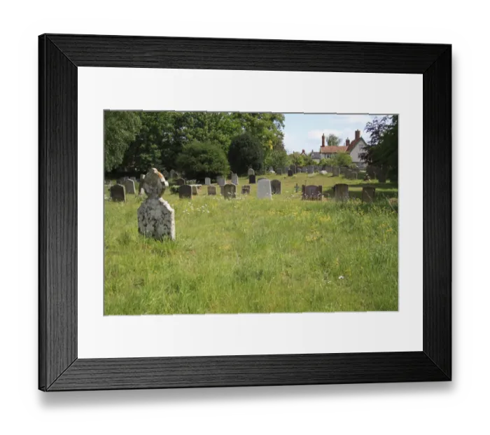 Framed Print : Long grass and wildflowers growing amongst headstones in churchyard conservation area, St Framed Print : Long grass and wildflowers growing amongst headstones in churchyard conservation area, St