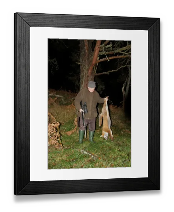 Framed Print : Man holding dead European Red Fox (Vulpes vulpes), shot at night using licenced nite-vision image intensifier scope Framed Print : Man holding dead European Red Fox (Vulpes vulpes), shot at night using licenced nite-vision image intensifier scope